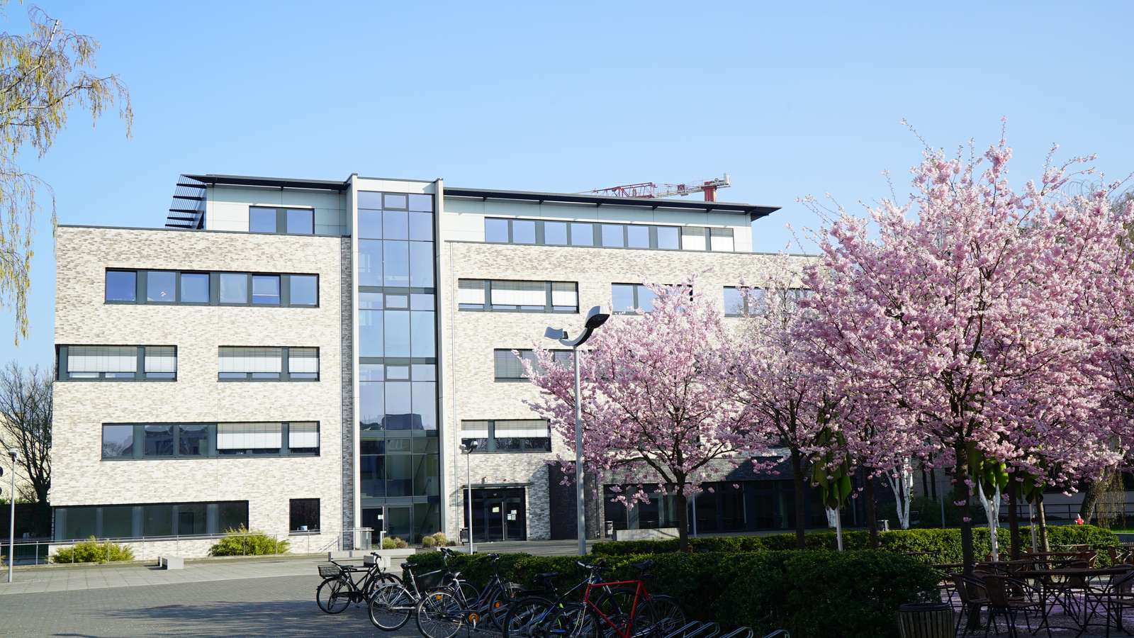 Rheinische Fachhochschule Köln Kosten Hochschulleitung | Rheinische Fachhochschule Köln