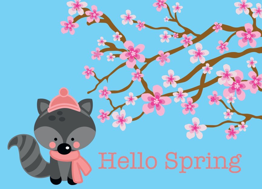 Blauer Hintergrund, gemalter Waschbär mit pinker Mütze und Schal. Daneben ein Baum der Blüten trägt. Text "Hello Spring"