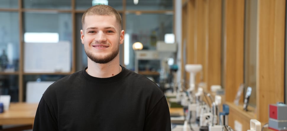 Infotermin International Business Administration (M.A.)