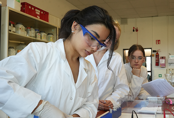 Molekulare Biomedizin Kachel